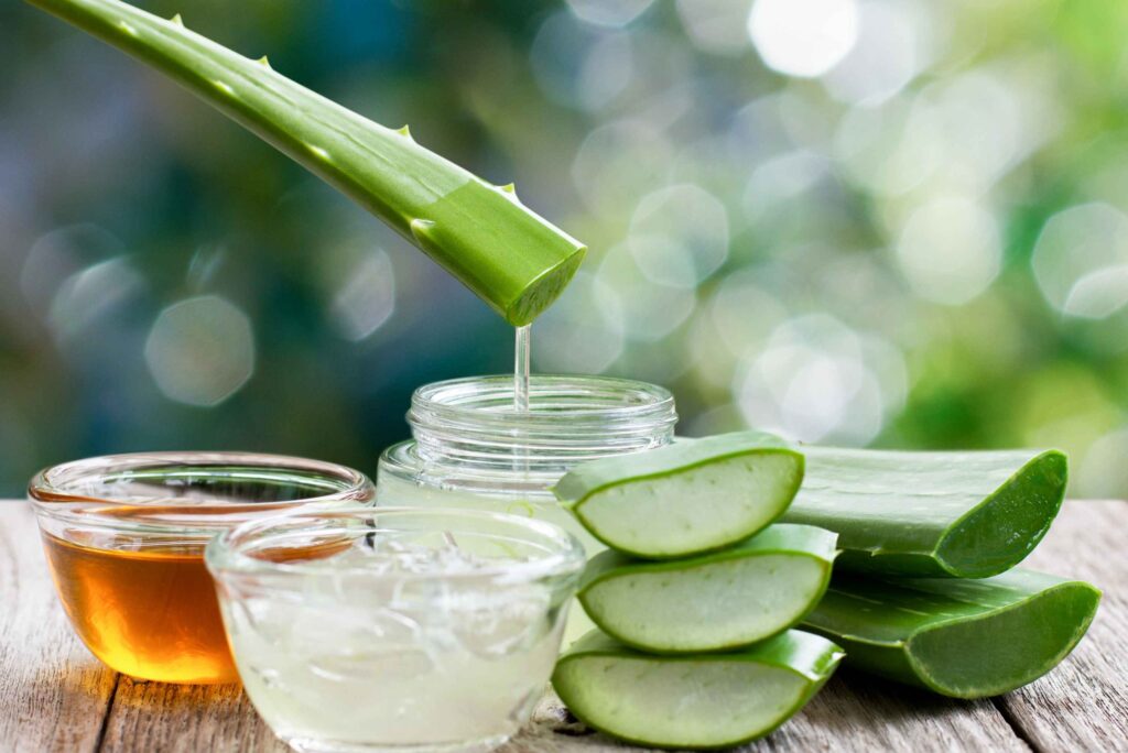 aloe vera new Sun Burn Aloe vera massage
